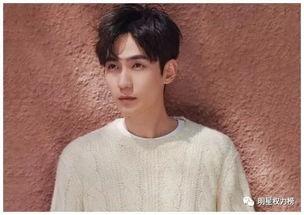 娱乐圈八卦最新爆料tf,娱乐圈八卦揭秘，神秘事件引热议  第3张