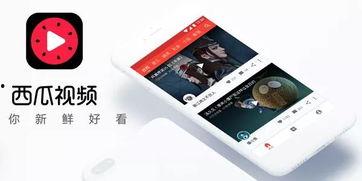 今日西瓜爆料视频最新,揭秘今日热点事件幕后真相  第3张